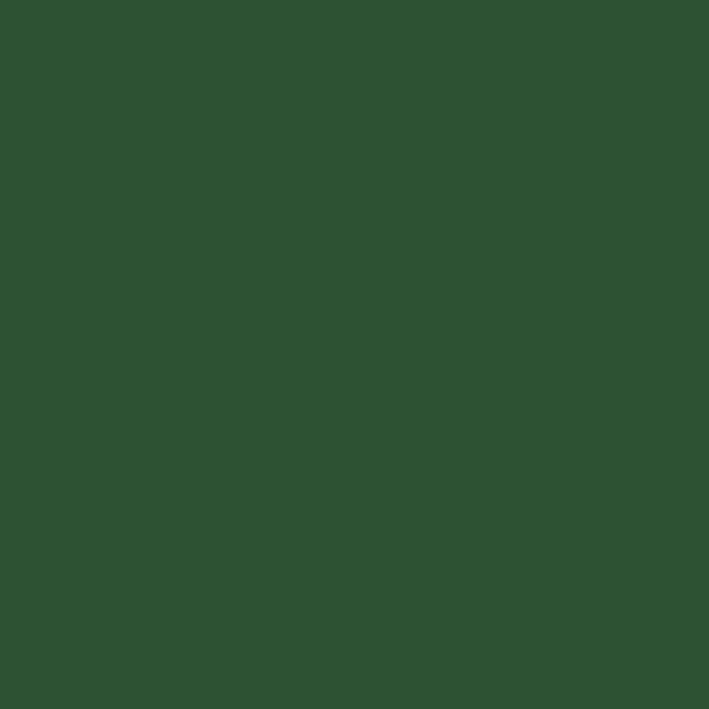 Bazzill 12x12 Dark Olive