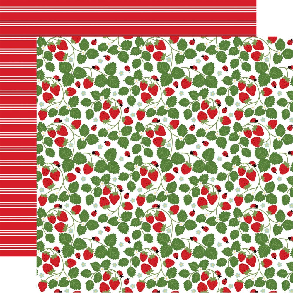 Echo Park Little Ladybug - Sweet Strawberries