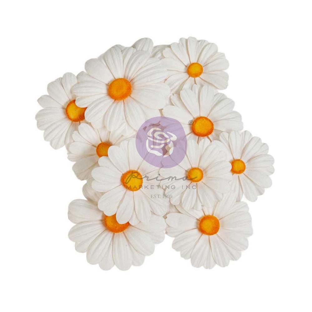 Prima In Full Bloom - Garden Whispers Flowers