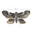 Tim Holtz Idea-ology - Transparencies Moths