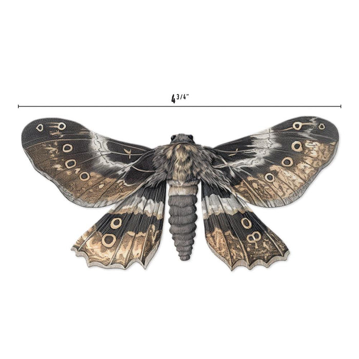 Tim Holtz Idea-ology - Transparencies Moths