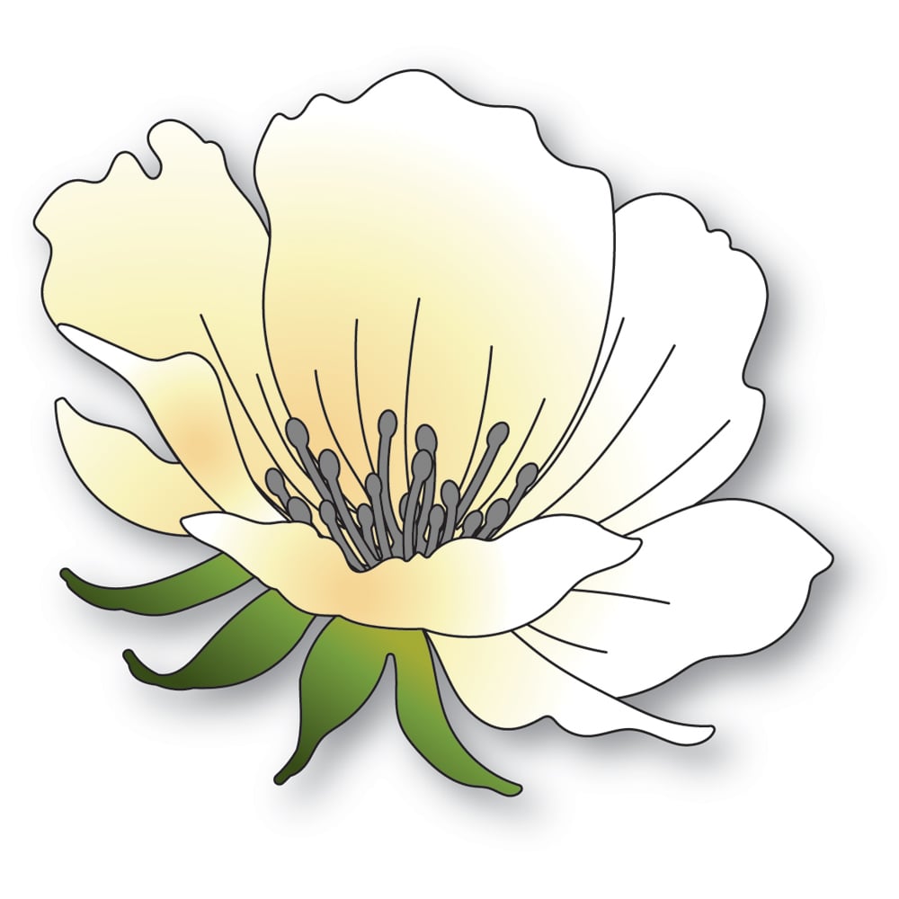 Memory Box Die - Anemone Bloom