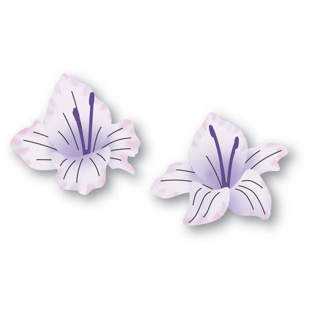 Memory Box Die - Gladiola Floral Duo