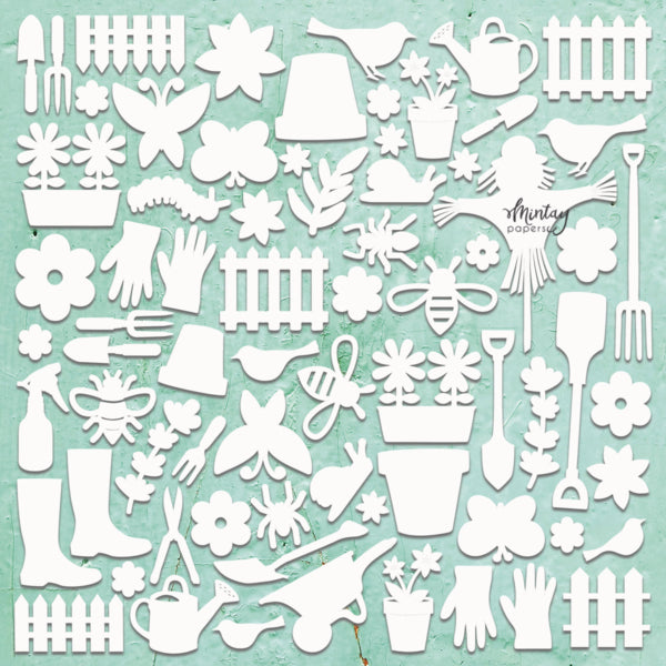 Mintay Papers - Chippies Gardening