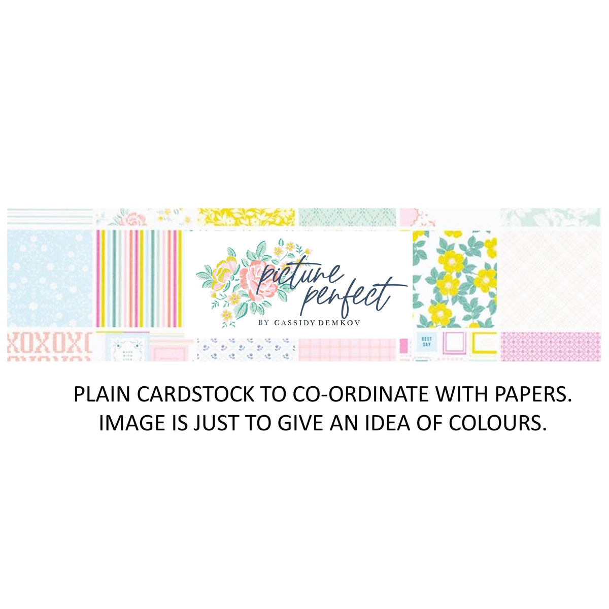 Pinkfresh Studio Picture Perfect - Bazzill Matchmaker Pack — Papermaze