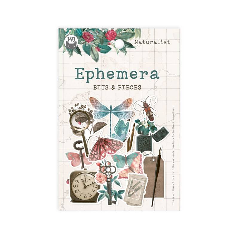 P13 Naturalist - Ephemera Bits & Pieces
