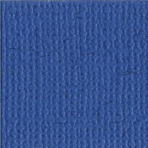 Bazzill 12x12 Blue